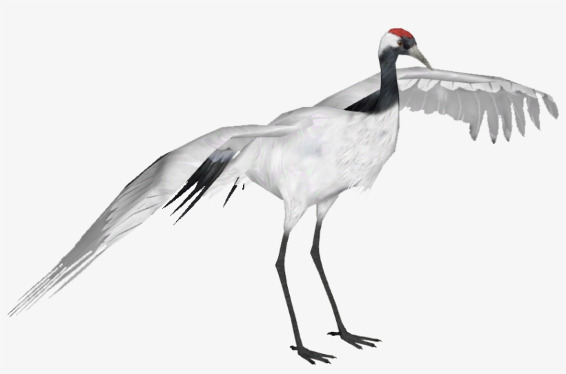 Red Crowned Crane - Red Crowned Crane Png, transparent png