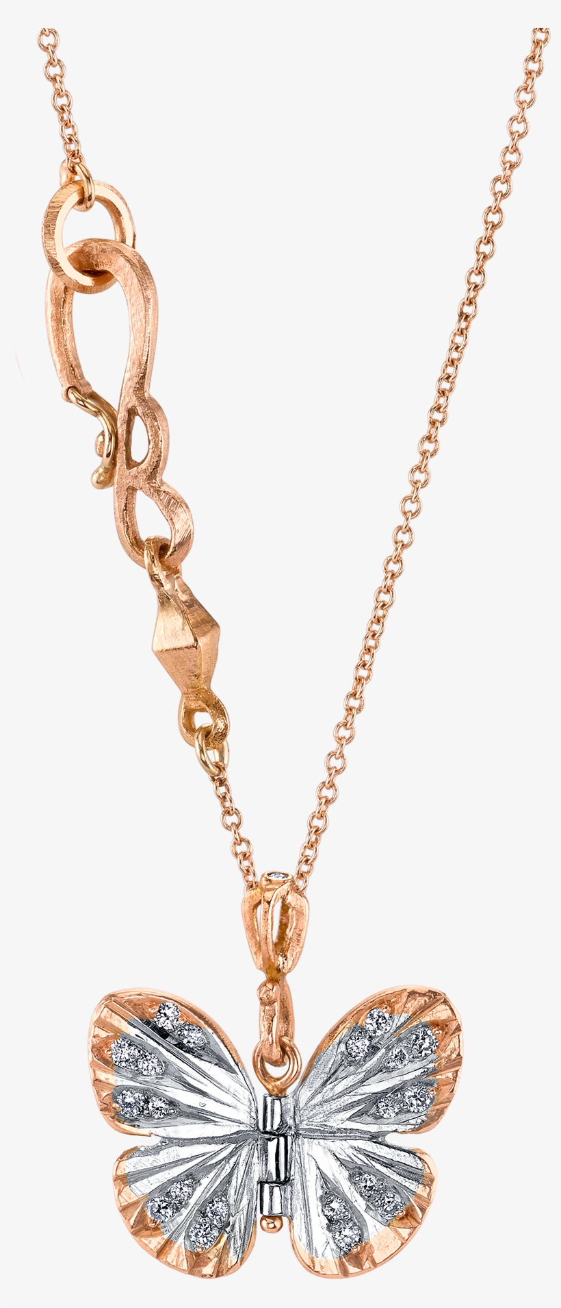 Necklace Chain Png, transparent png