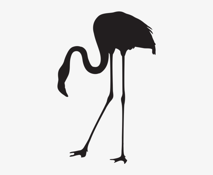 Clipart Download Wallpaper Full Wallpapers Black And - Flamingo Silhouette Png, transparent png