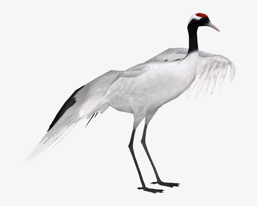 Red-crowned Crane - Red Crowned Crane Png, transparent png