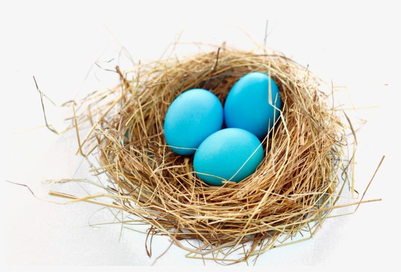 Transparent Nest Png, transparent png