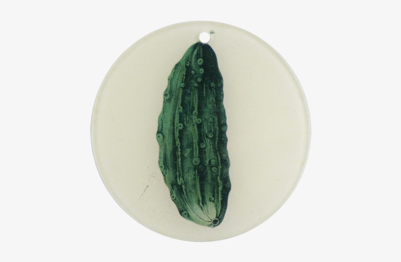 Pickle - San Pedro Cactus, transparent png