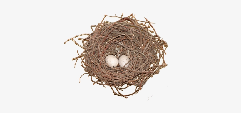 Nest Png Photos - Bird, transparent png