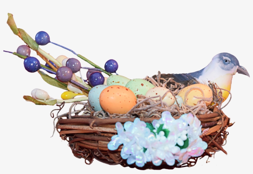 Download Amazing High-quality Latest Png Images Transparent - Bird Nest, transparent png