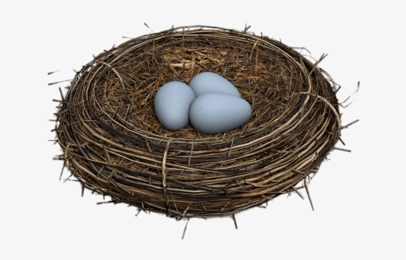 Bird Nest Png, transparent png