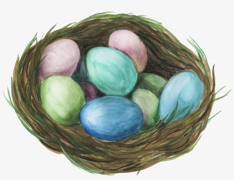 Nest Png, transparent png