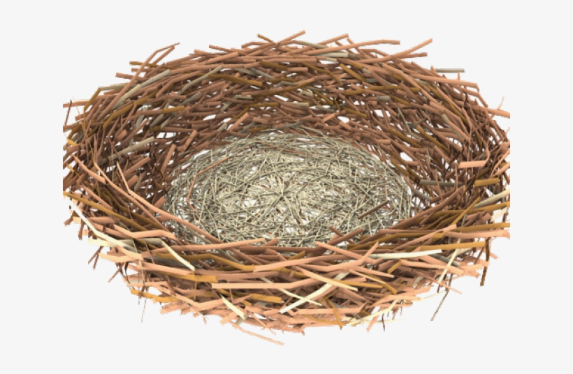 Nest Png Transparent Images - Portable Network Graphics, transparent png