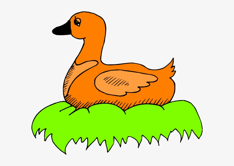 Orange Duck In Nest Svg Clip Arts 600 X 504 Px, transparent png