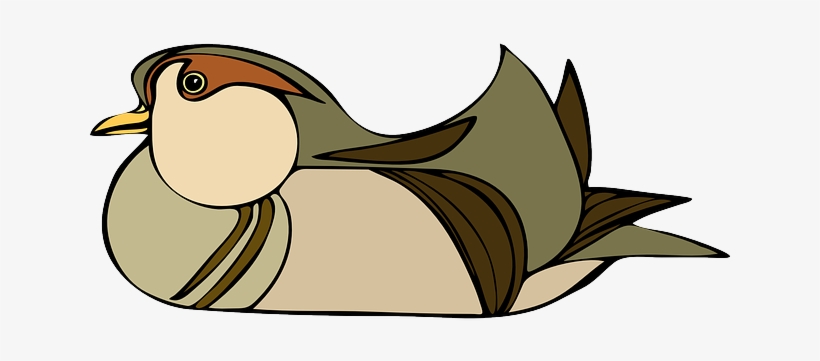 Brown, Feather, Bird, Animal, Nesting, Feathers, Nest - Bird, transparent png