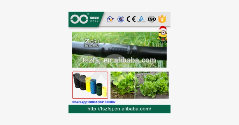 Pe Drip Irrigation Water Pipe With Inline Round Dripper - Hose, transparent png