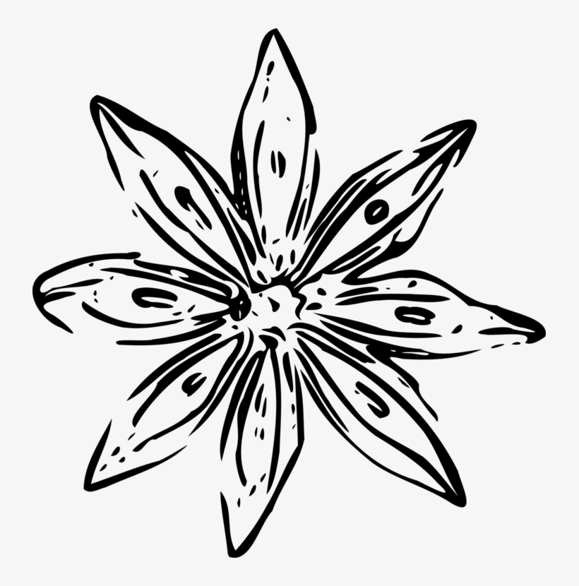 Cut Flowers Drawing Computer Icons Petal - White Flower Outline Png, transparent png