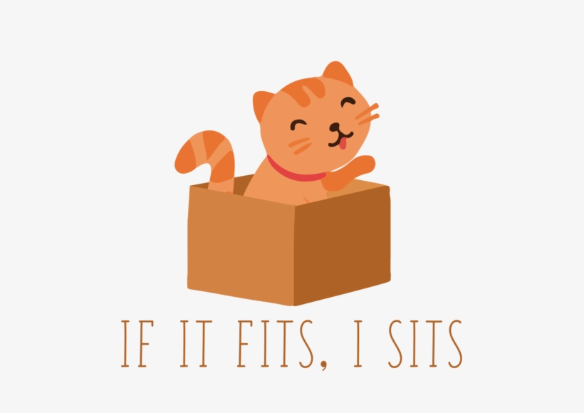 Funny Cat T-shirt - Cat, transparent png