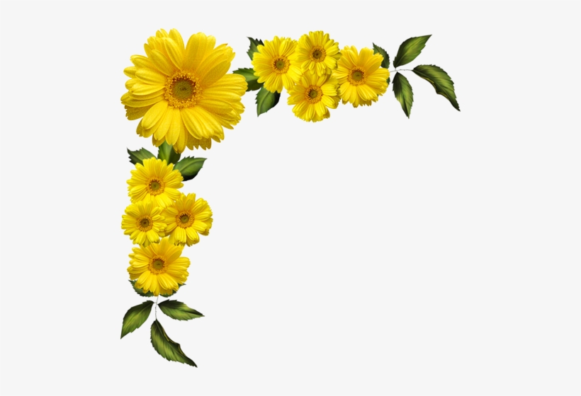 Download Transparent Yellow Flowers Border Png PNGkit