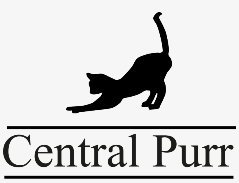 Www - Central-purr - Co - Uk - Sterling Silver Small Roman Numeral Pendant By My 12, transparent png