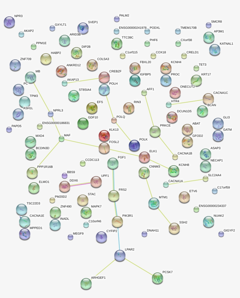 Network Of Associatons Between Targets According To, transparent png