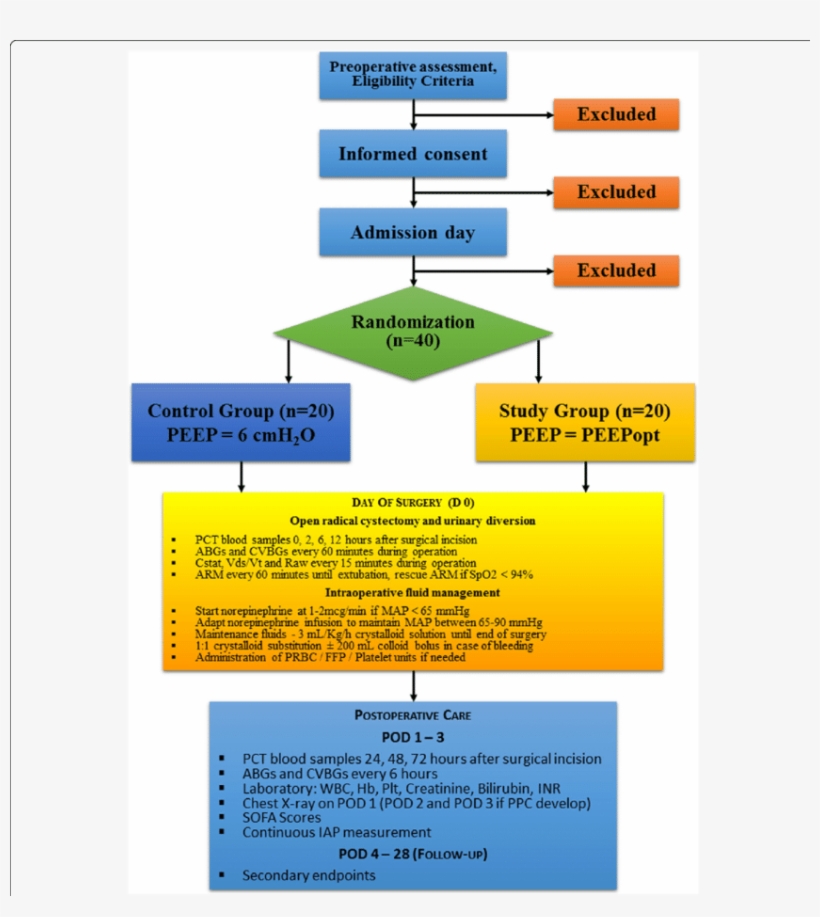 Consolidated Standards Of Reporting Trials Flowchart, transparent png