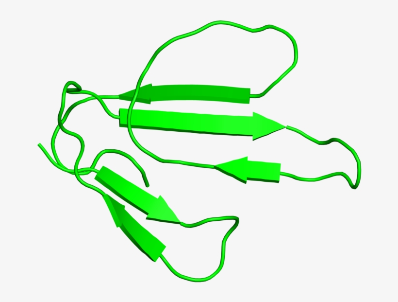 <div Class='caption-body'>1 Copy Of Scop Domain <, transparent png