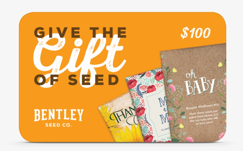 $100 Gift Card, transparent png