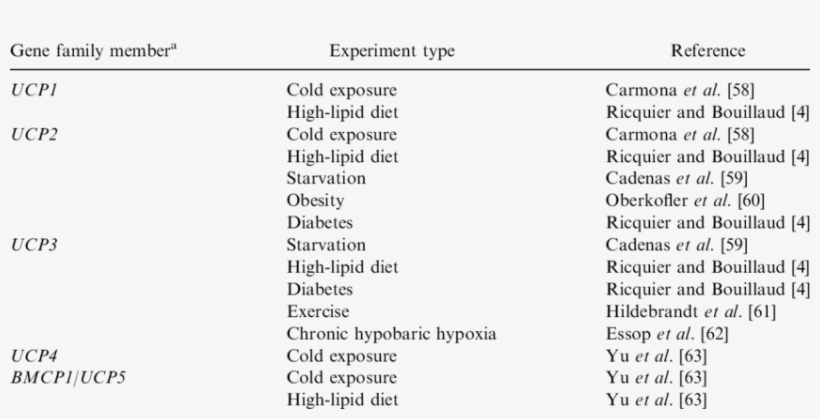 Summary Of The Effects Of Different Conditions On The, transparent png