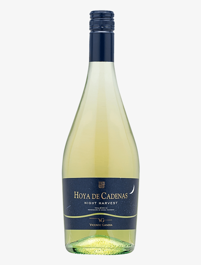 Martha's Tasting Notes, transparent png