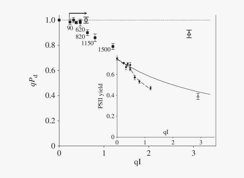 Relationship Between Qp D And Qi At The End Of The, transparent png