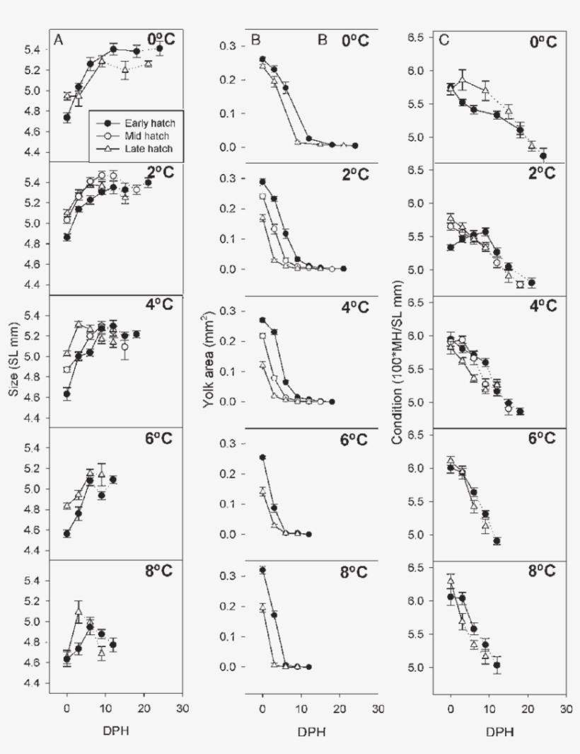 Post Hatch Developmental Changes In Morphometrics Of, transparent png