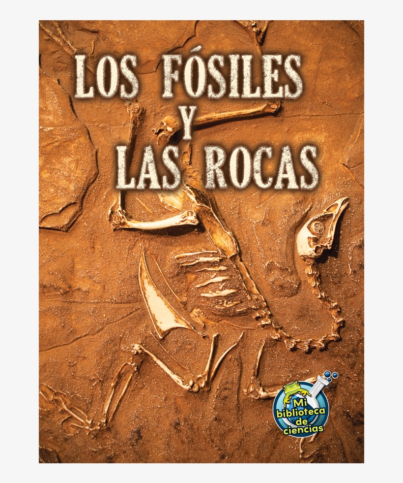 Tcr173117 Los Fosiles Y Las Rocas Image, transparent png