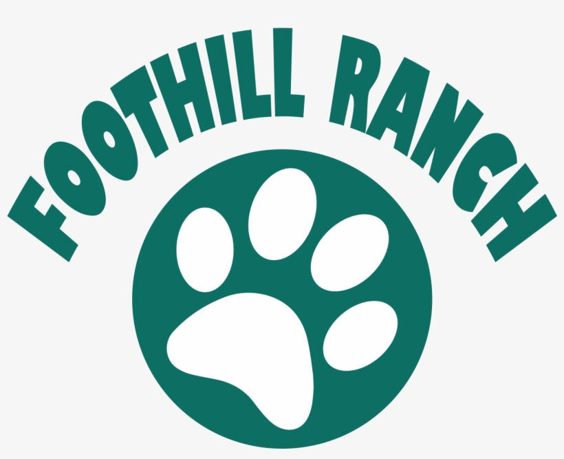 Pta, transparent png