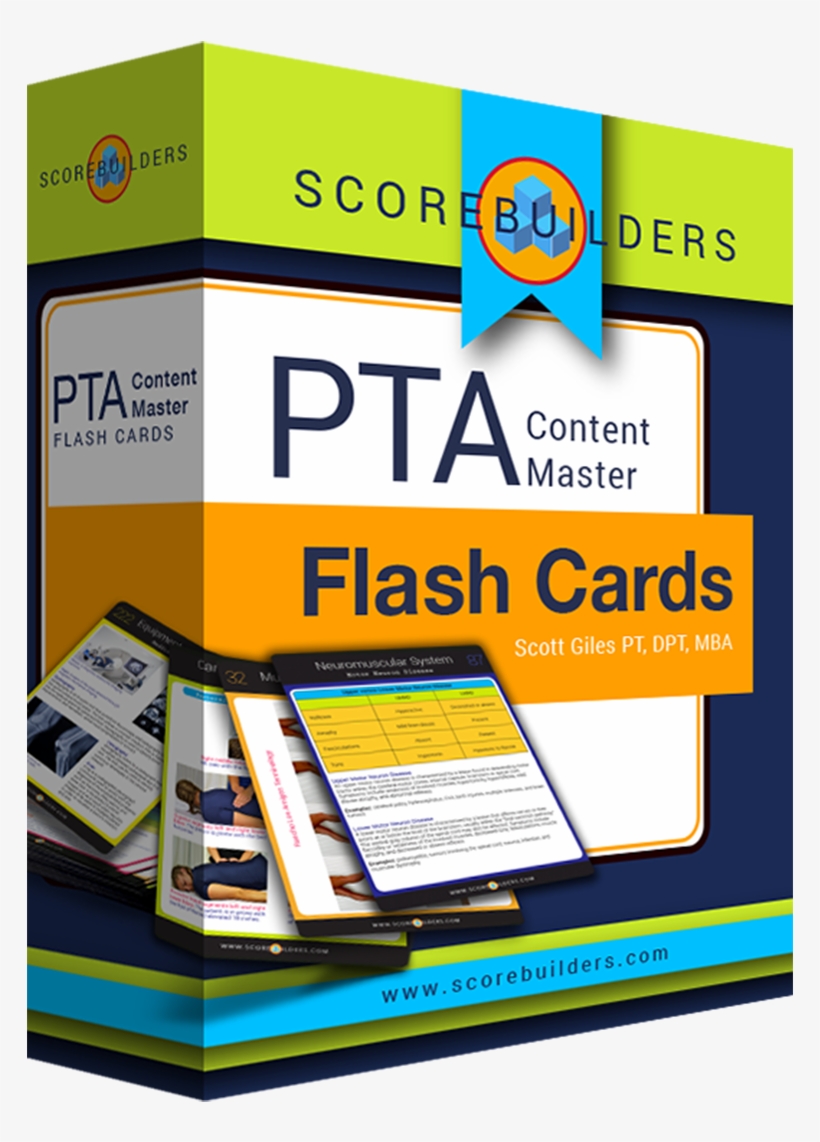 Repetition Is Wonderful For Pta Students, transparent png