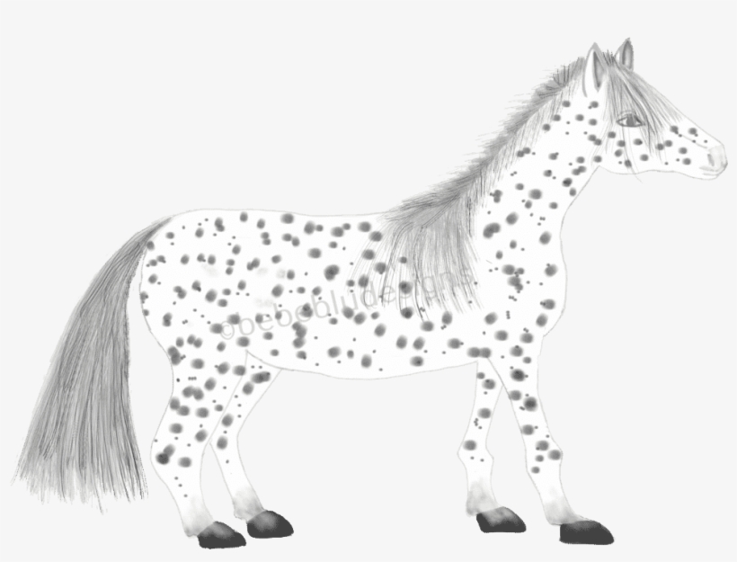 Horse Black And White, transparent png