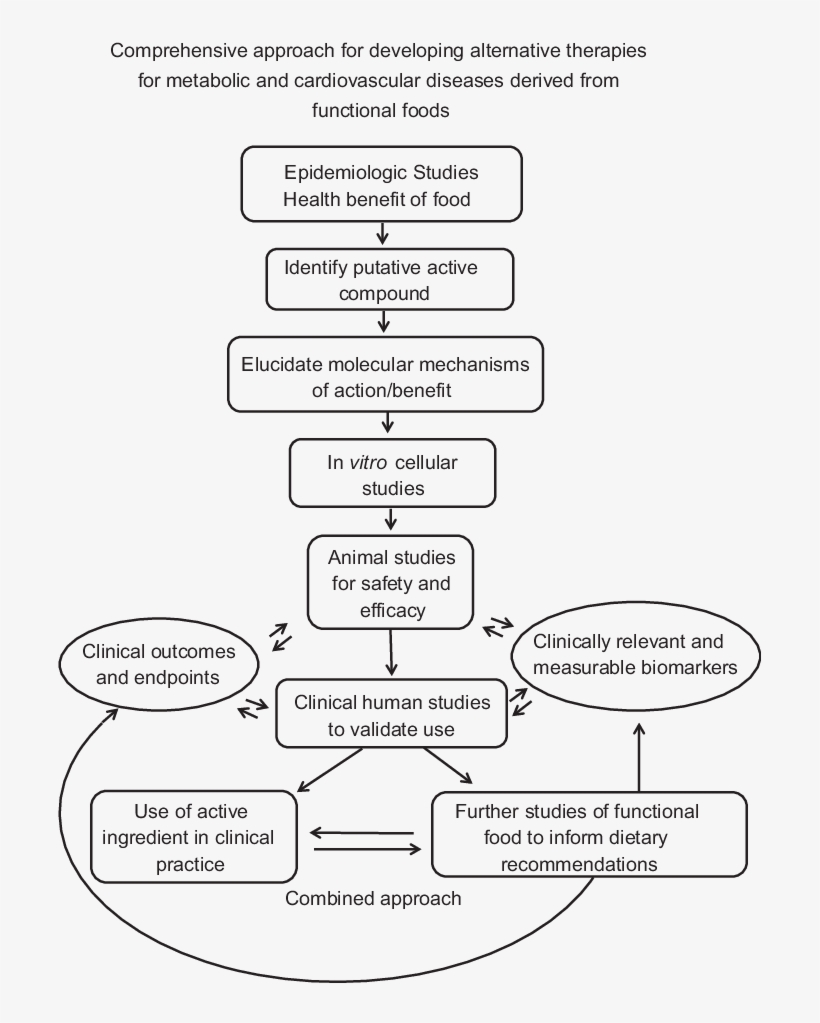 Comprehensive Approach For Developing Alternative Therapies, transparent png