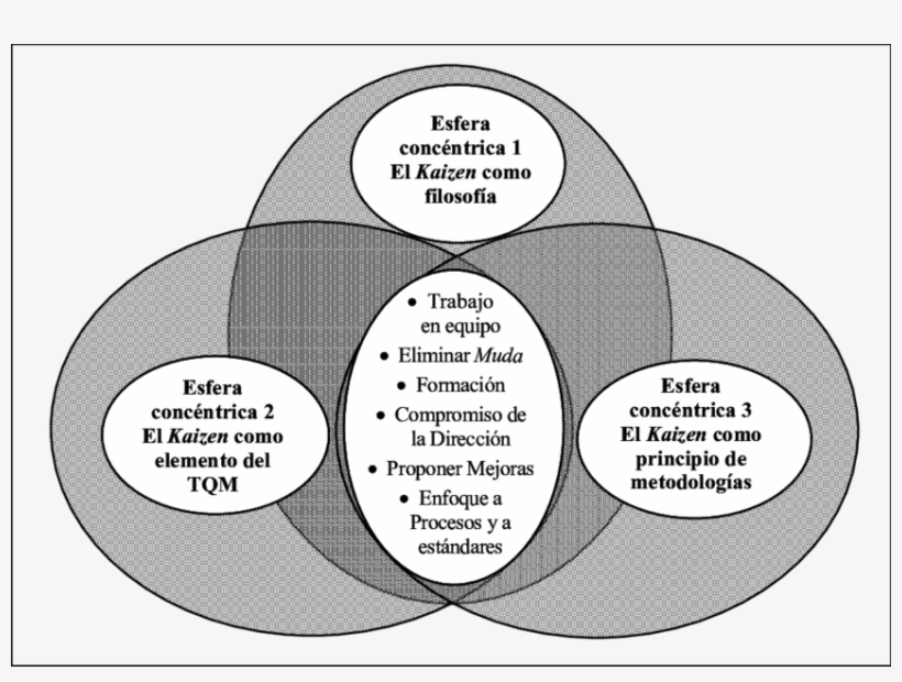 Análisis Cruzado De Las Tres Esferas Concéntricas Del, transparent png