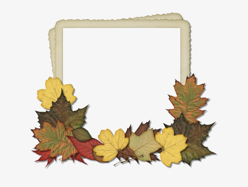 Vector Free Download Freebie Arrow Border Brushes Pinterest, transparent png