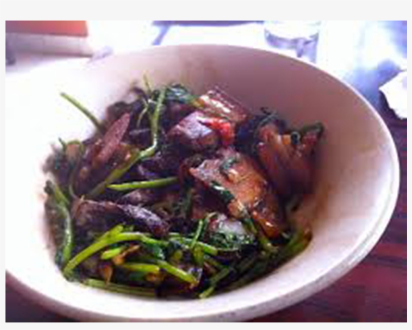 Photos, transparent png