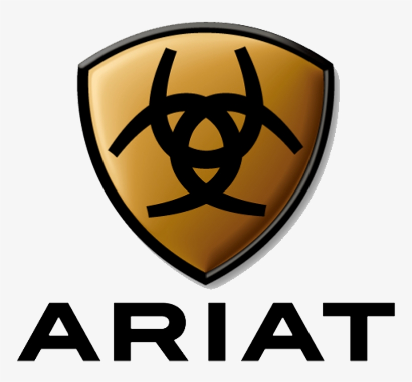 Ariat Men's Terrain Shoe, transparent png