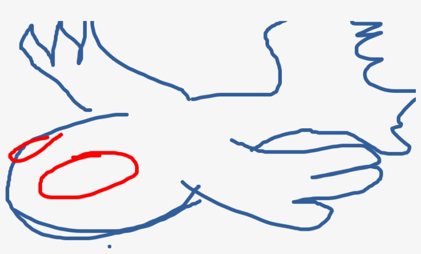 Kyogre, transparent png