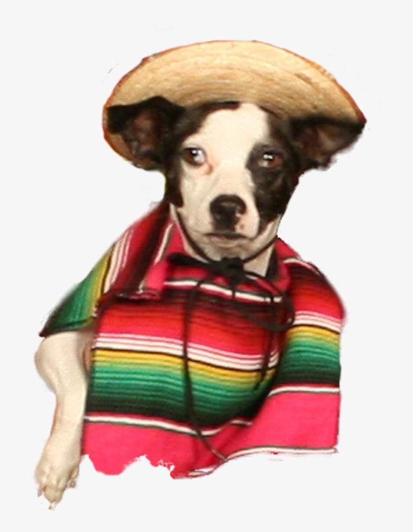 Pancho Villa, transparent png