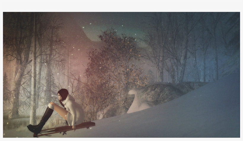 The Winter Trace Sim, By Renowned Landscaper And Decorator, transparent png