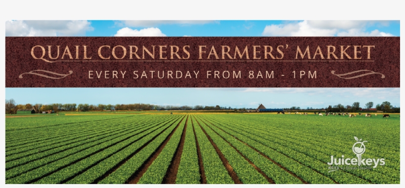 Banner Design Png, transparent png