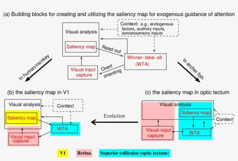Building Blocks For The Creation And Utilization Of, transparent png