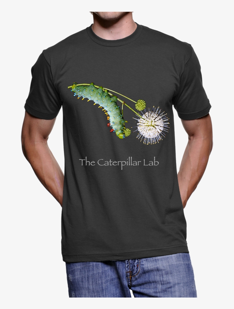 Adult Unisex Cecropia T-shirt, transparent png