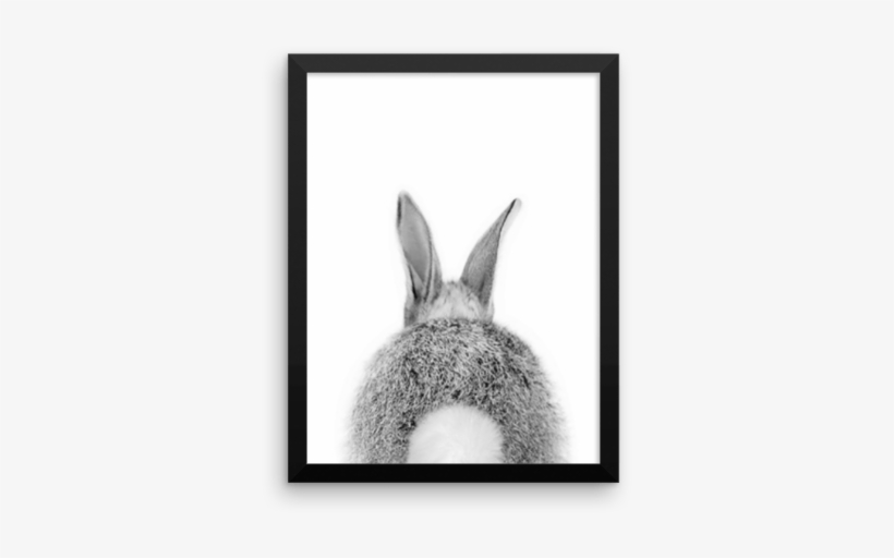 Bunny Tail, transparent png