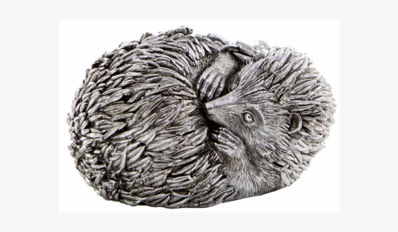 Curled Hedgehog, transparent png