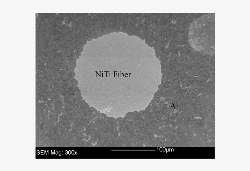 Niti-reinforcement Fiber In The Aluminum Matrix Composite, transparent png