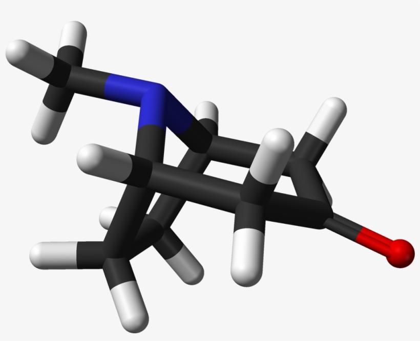 Tropinone 3d Sticks, transparent png