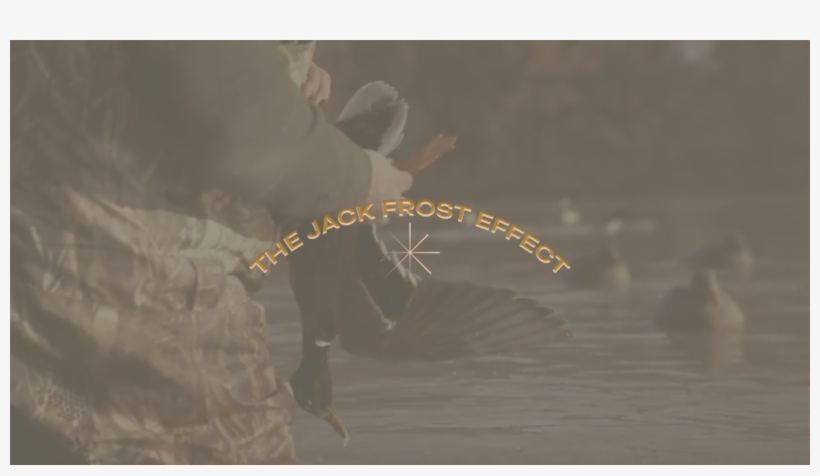 Until Just Recently, It Seems As Though Ol' Jack Frost, transparent png