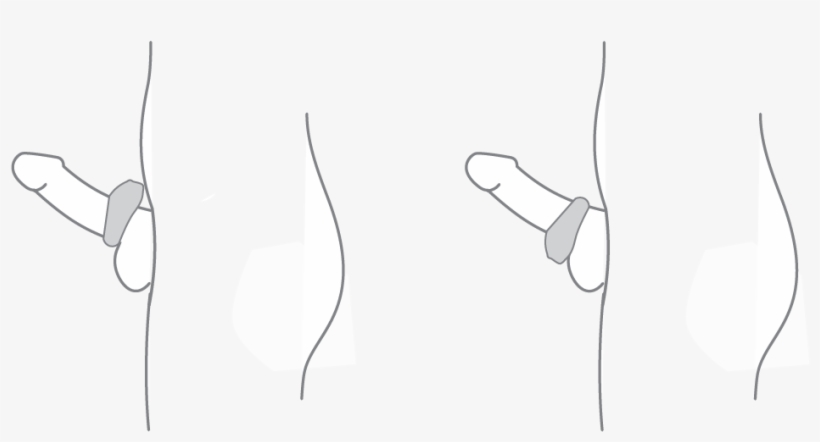 Pivot Positions, transparent png