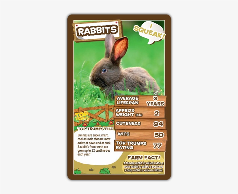 Rabbit, transparent png