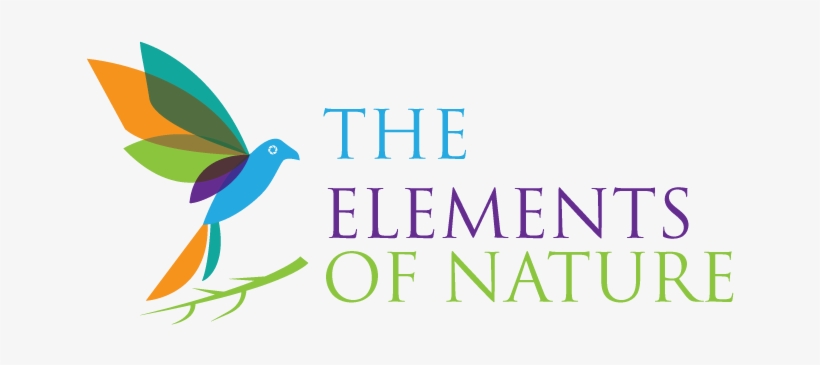 Logo Design By Design Cruiser For This Project, transparent png