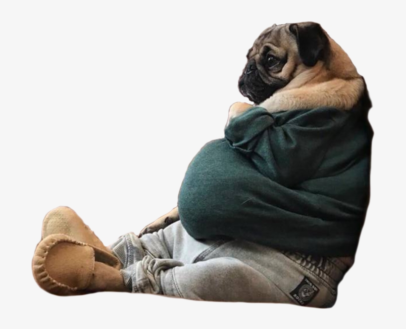 Cutout, transparent png
